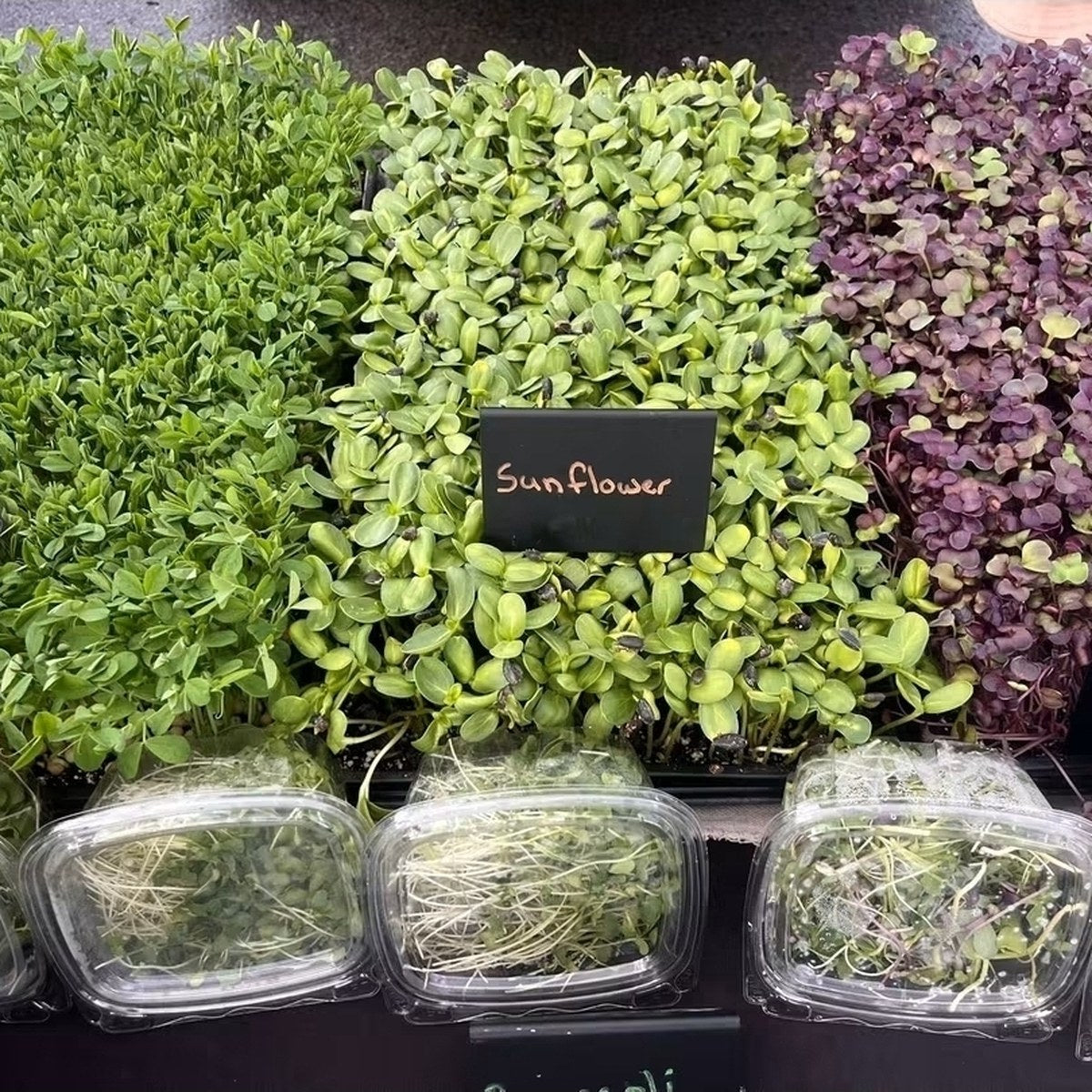 Microgreens