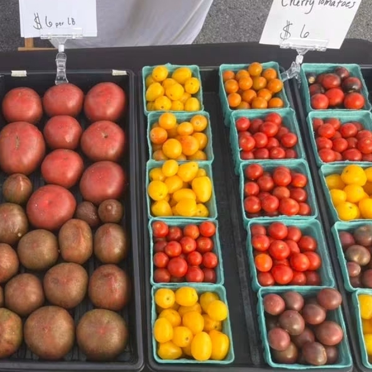 Tomatoes