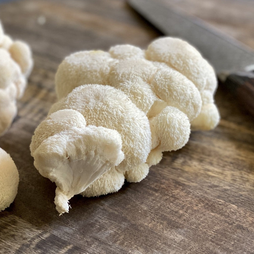 How to Cook Lion's Mane Mushrooms — 5 Easy Recipes | Alchemy Gardens
