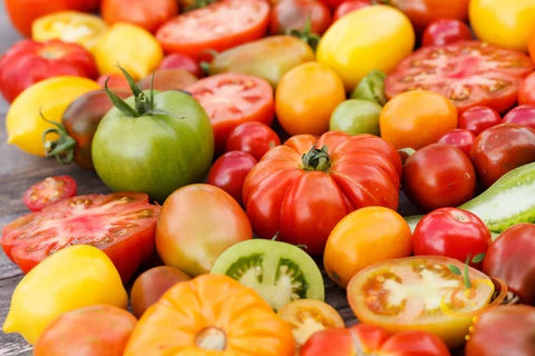 • Juicy Tomatoes •