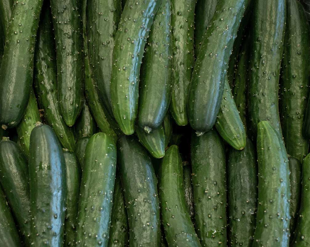 • Cool Cukes •
