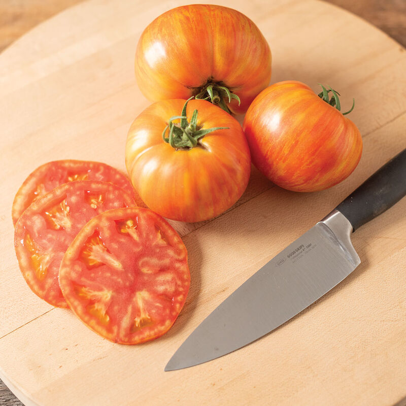 Hot Streak Tomato Starts
