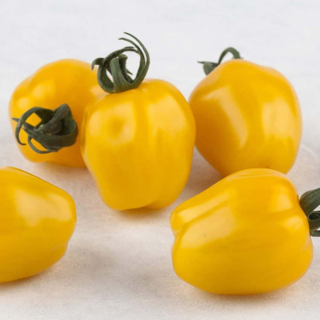Apple Yellow Cherry Tomato Insta-Garden