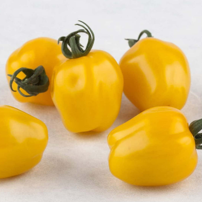 Apple Yellow Cherry Tomato