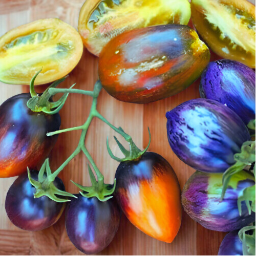 Brad's Atomic Grape Tomato Insta-Garden