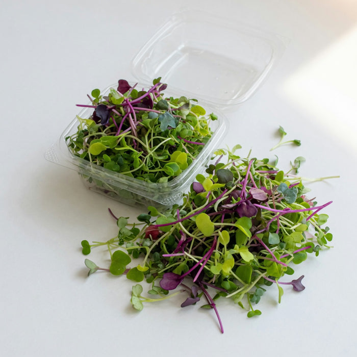 Confetti Mix Microgreens