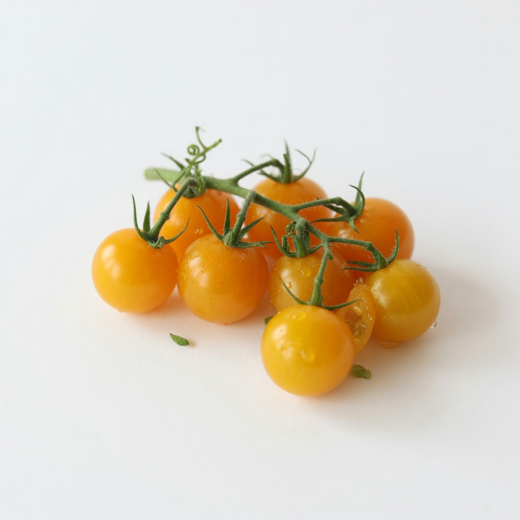 Sungold Cherry Tomato