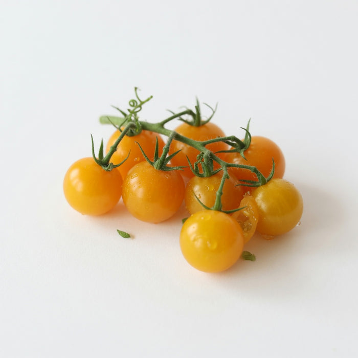 Sungold Cherry Tomato